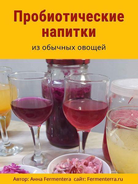 [Анна Fermenterra] Пробиотические напитки (2025)_0.jpg